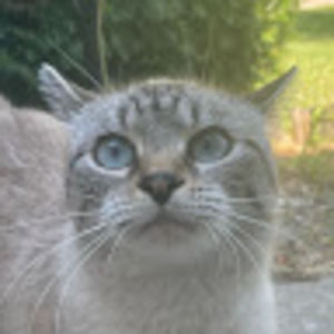 Meet your Posher, Lilly